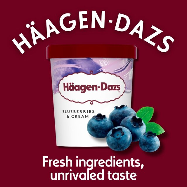 Haagen-Dazs Blueberries & Cream thumbnail 3