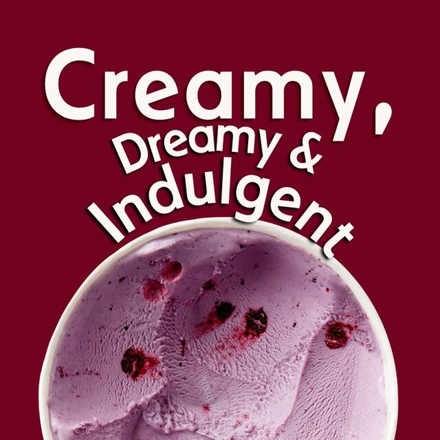 Haagen-Dazs Blueberries & Cream thumbnail 4