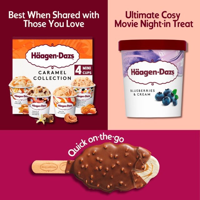 Haagen-Dazs Blueberries & Cream thumbnail 5