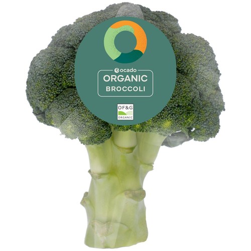Ocado Organic Broccoli thumbnail 2