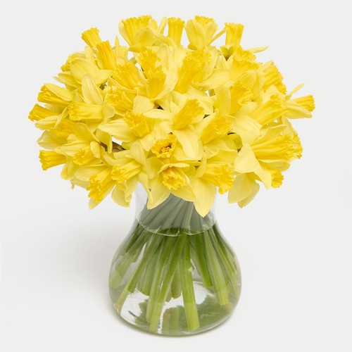 M&S Large Bunch Daffodils
