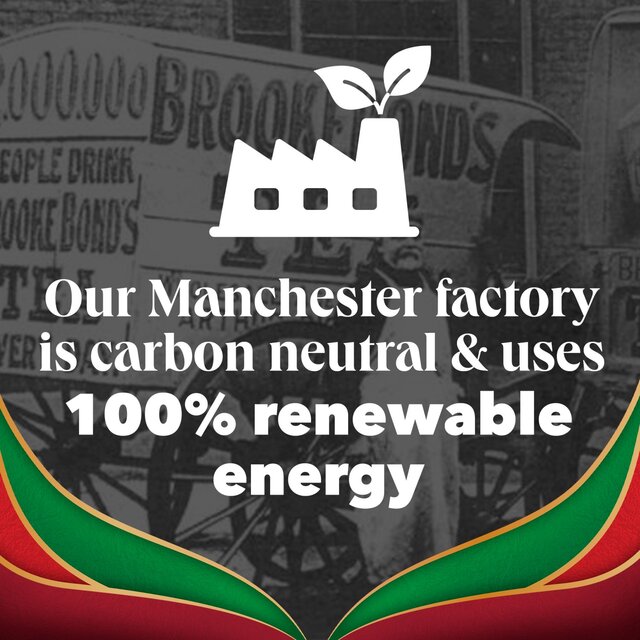 PG Tips English Breakfast Bold & Strong Plant Based Biodegradable Tea Bags thumbnail 3