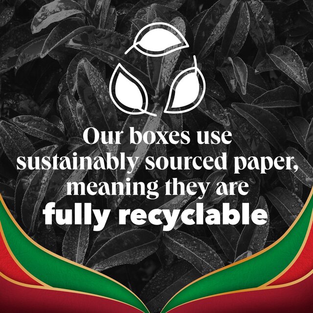 PG Tips English Breakfast Bold & Strong Plant Based Biodegradable Tea Bags thumbnail 4