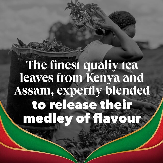 PG Tips English Breakfast Bold & Strong Plant Based Biodegradable Tea Bags thumbnail 6