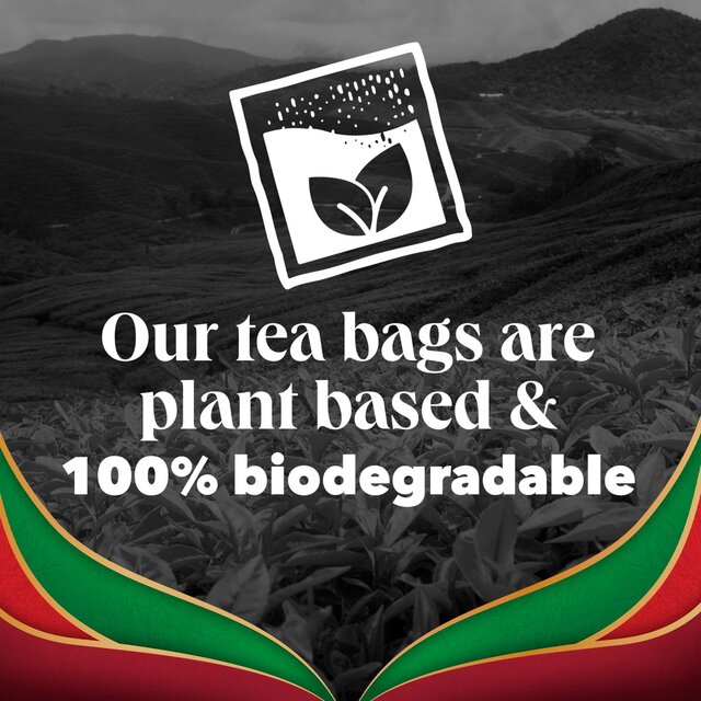 PG Tips English Breakfast Bold & Strong Plant Based Biodegradable Tea Bags thumbnail 7