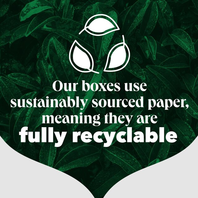 PG Tips Decaf 160 Plant Based Biodegradable Decaffeinated Tea Bags thumbnail 5