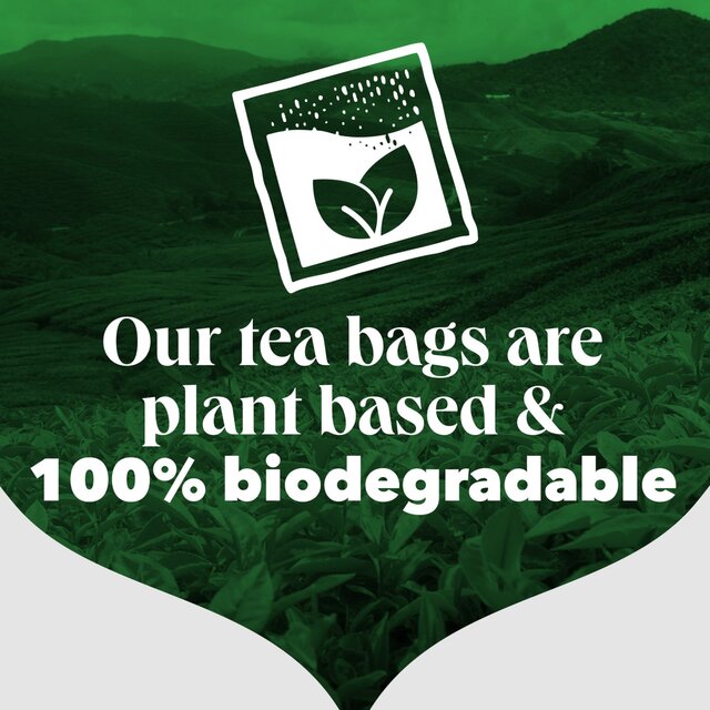 PG Tips 400 Black Tea, Plant Based Biodegradable Tea Bags thumbnail 4