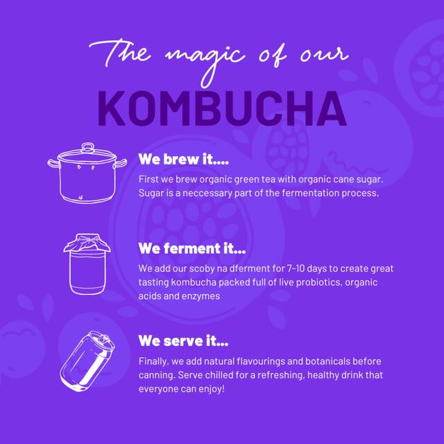 One Living Passionfruit Sugar Free Kombucha 4x250ml thumbnail 4