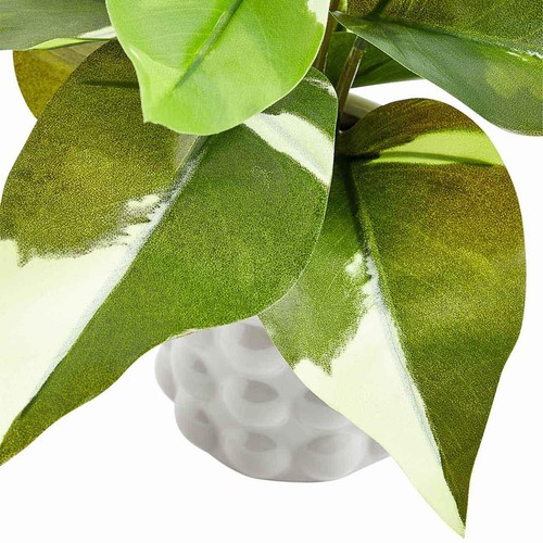 M&S Moss & Sweetpea Artificial Philodendron in Ceramic Pot Green thumbnail 3