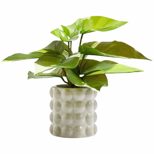 M&S Moss & Sweetpea Artificial Philodendron in Ceramic Pot Green