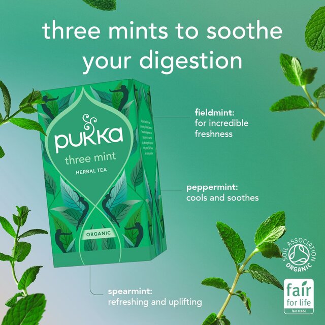 PUKKA Organic Three Mint Tea with Peppermint 40 Herbal Tea Bags thumbnail 3