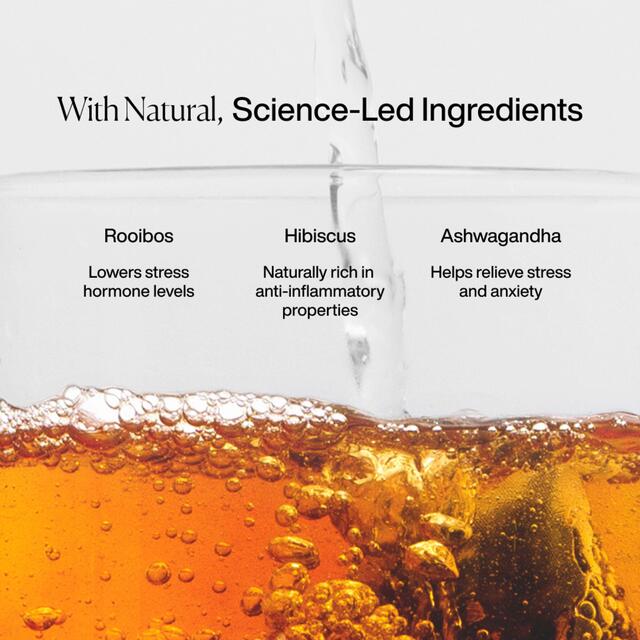 MISSION Recover Rooibos Tea Bags with Berry + Ashwagandha thumbnail 3