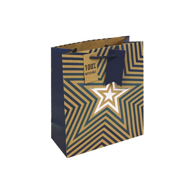 Kraft Blue Stars Medium Gift Bag