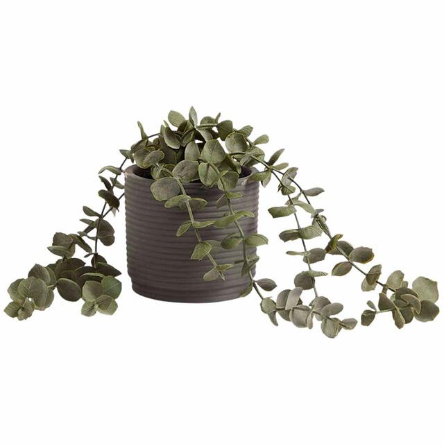 M&S Moss & Sweetpea Artificial String of Hearts in Concrete Pot, Green