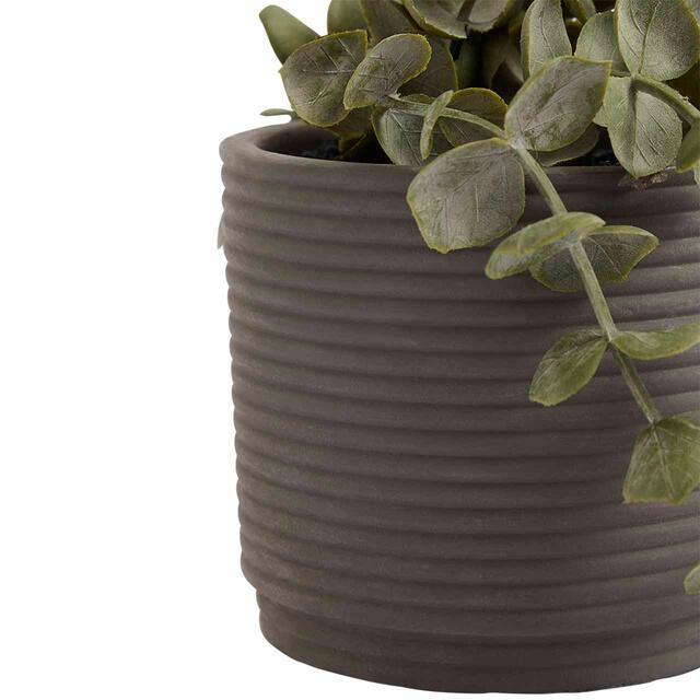 M&S Moss & Sweetpea Artificial String of Hearts in Concrete Pot, Green thumbnail 2