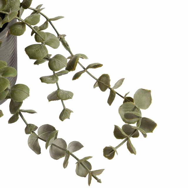 M&S Moss & Sweetpea Artificial String of Hearts in Concrete Pot, Green thumbnail 3