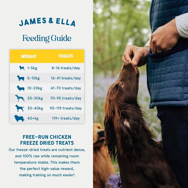 James & Ella Freeze-Dried Raw Chicken Dog Treats thumbnail 3