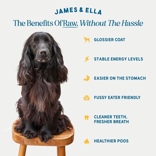 James & Ella Freeze Dried Raw Chicken Complete Dog Food Pouch thumbnail 2