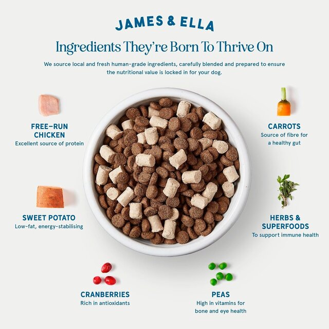 James & Ella Kibble + Freeze Dried Raw Chicken Dog Food thumbnail 2