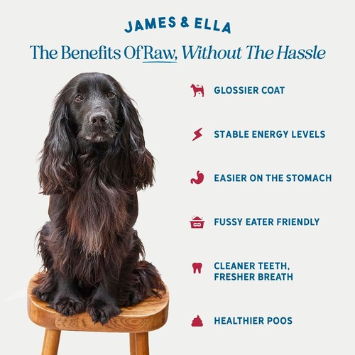 James & Ella Kibble + Freeze Dried Raw Beef Dog Food thumbnail 2