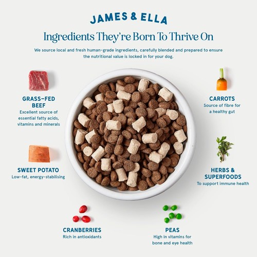 James & Ella Kibble + Freeze Dried Raw Beef Dog Food thumbnail 5