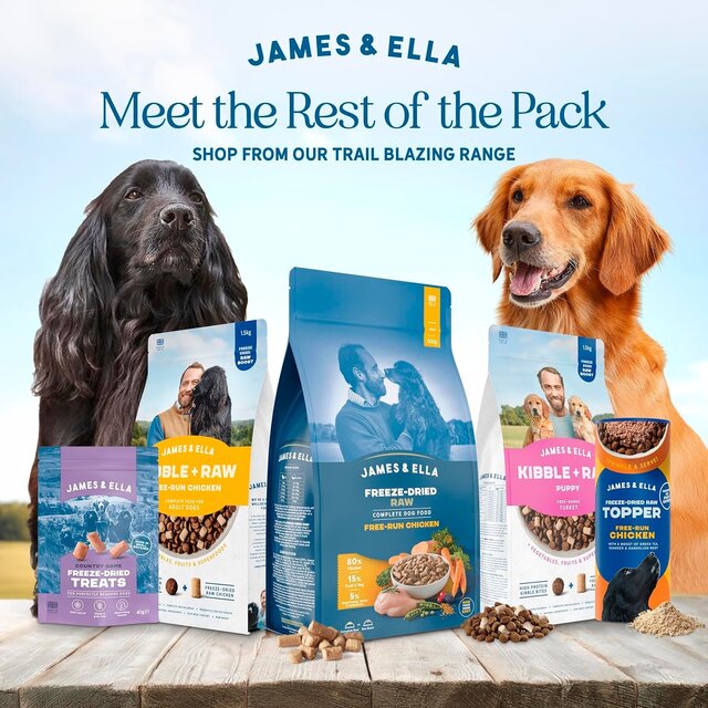 James & Ella Freeze Dried Raw Chicken Dog Topper thumbnail 3