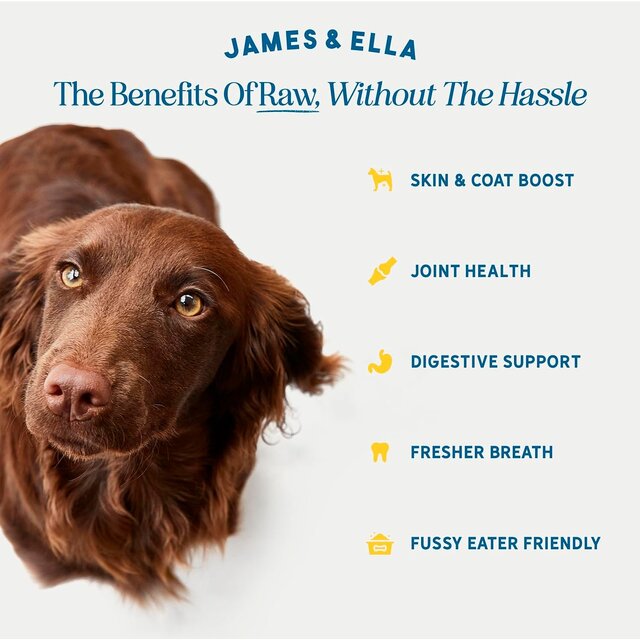 James & Ella Freeze Dried Raw Chicken Dog Topper thumbnail 4