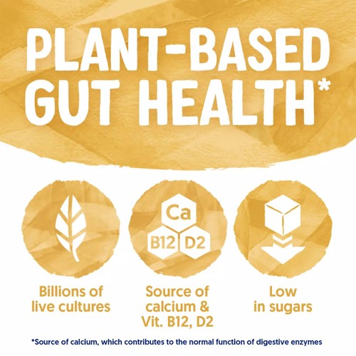 Alpro Gut Health Oats Natural Dairy Free Yoghurt Alternative thumbnail 4