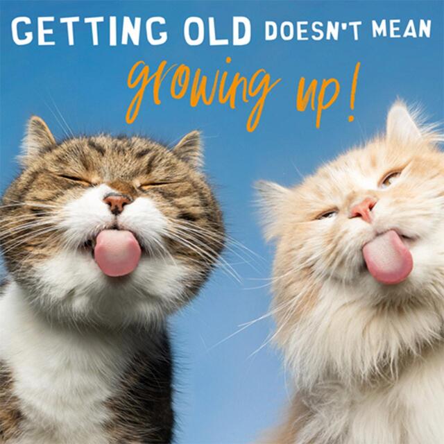 Getting Old Not Growing Up Birthday Card