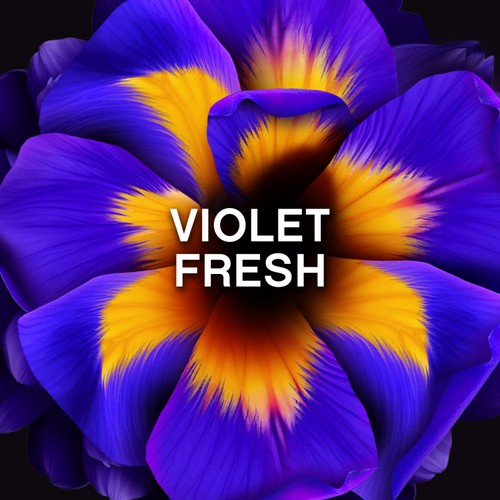 Lenor Unstoppables  Violet Fresh Scent Booster thumbnail 7