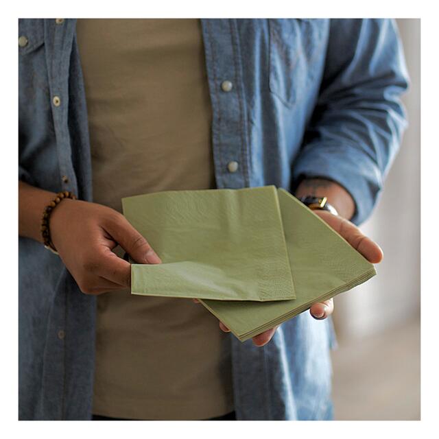 Pistachio Green 2 Ply 33cm Paper Party Napkins thumbnail 4