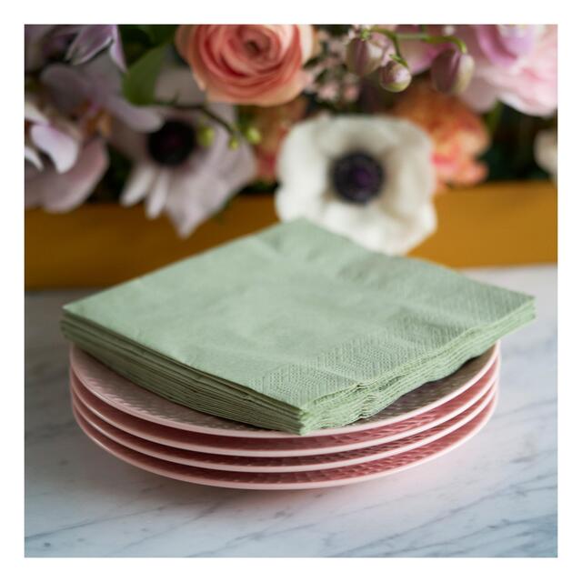 Pistachio Green 2 Ply 33cm Paper Party Napkins thumbnail 5