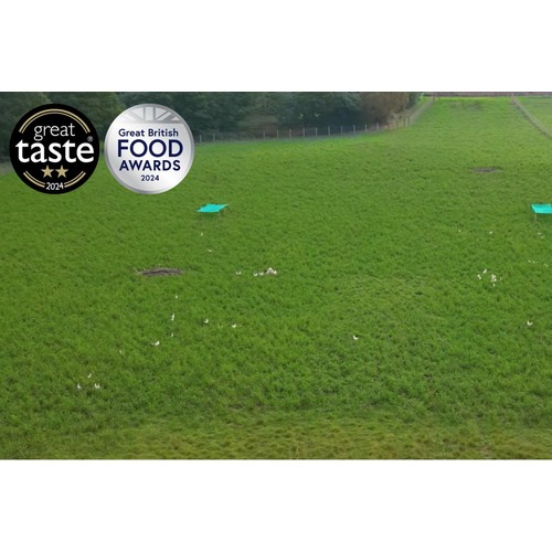 Packington Free Range White Free Range Eggs thumbnail 3
