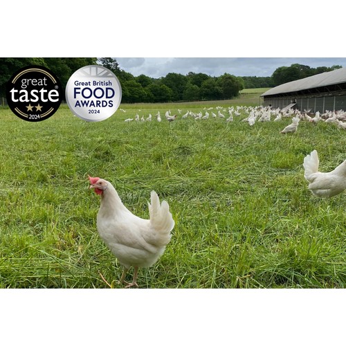 Packington Free Range White Free Range Eggs thumbnail 4