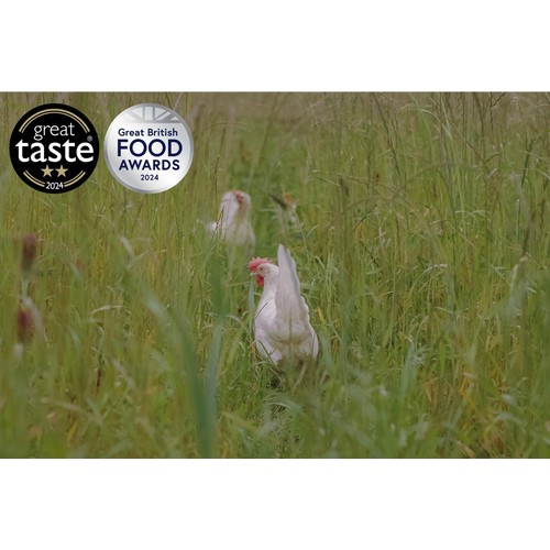 Packington Free Range White Free Range Eggs thumbnail 5