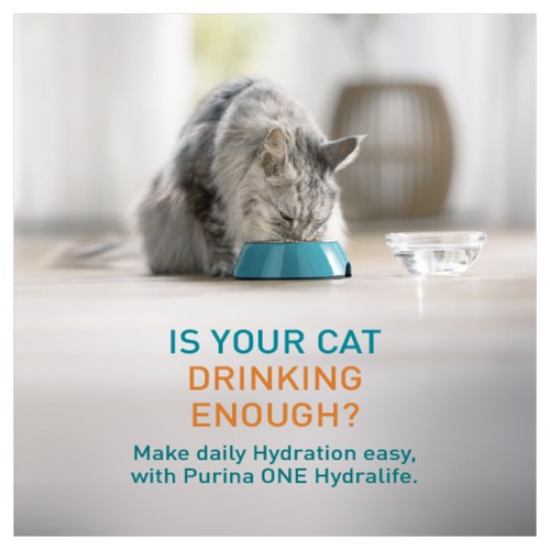 PURINA ONE HYDRALIFE with Chicken Liquid Cat Supplement thumbnail 6