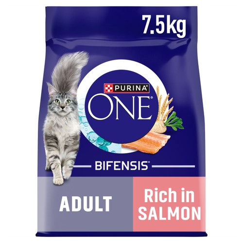 Purina One Salmon Dry Cat Food