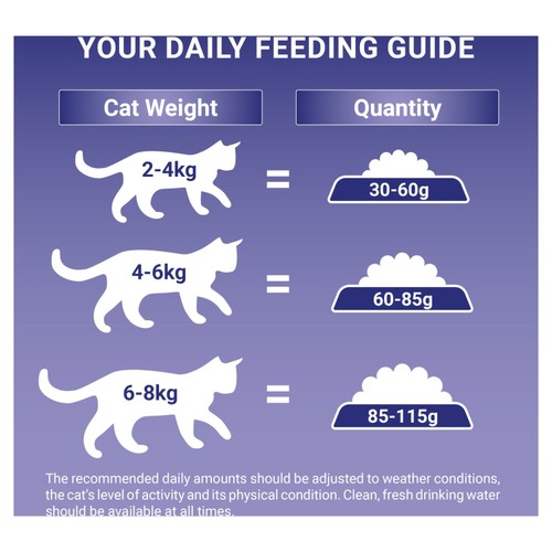 Purina One Salmon Dry Cat Food thumbnail 4