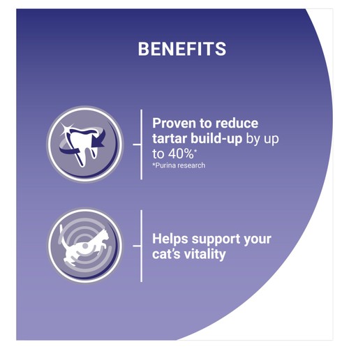 Purina One Salmon Dry Cat Food thumbnail 5