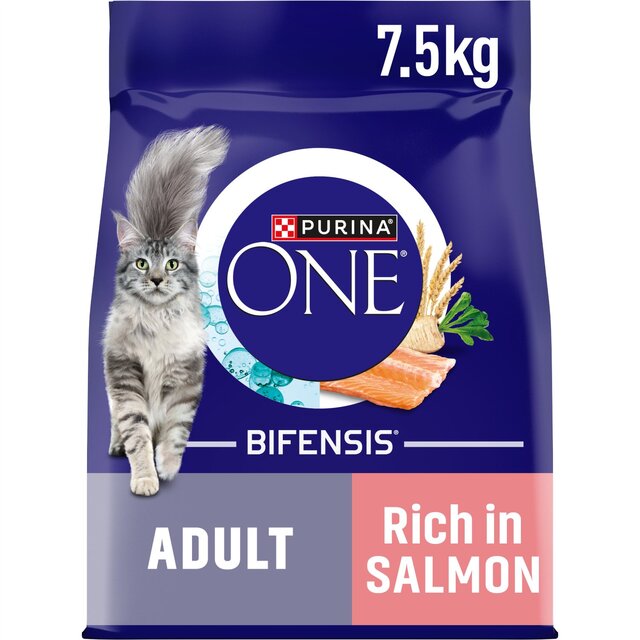 Purina One Salmon Dry Cat Food