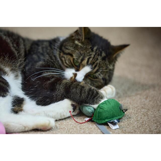 Catkins Three Kind Mice Plush Cat Toys thumbnail 5