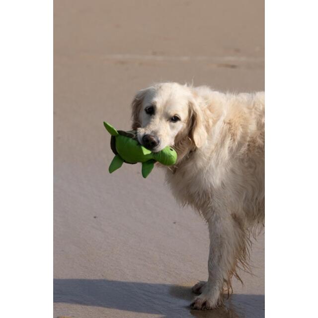 Petface Planet Tessi Turtle Plush Dog Toy thumbnail 4