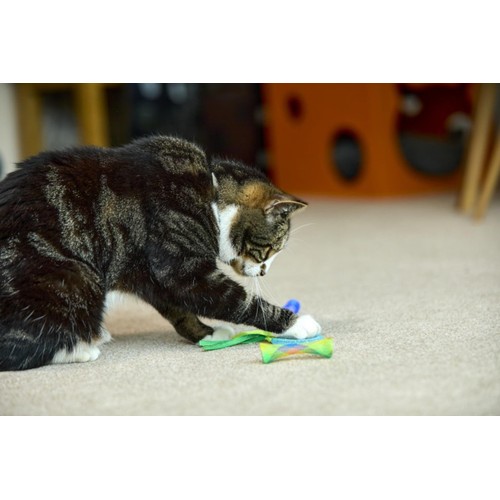 Catkins Springy Cat Toys thumbnail 5