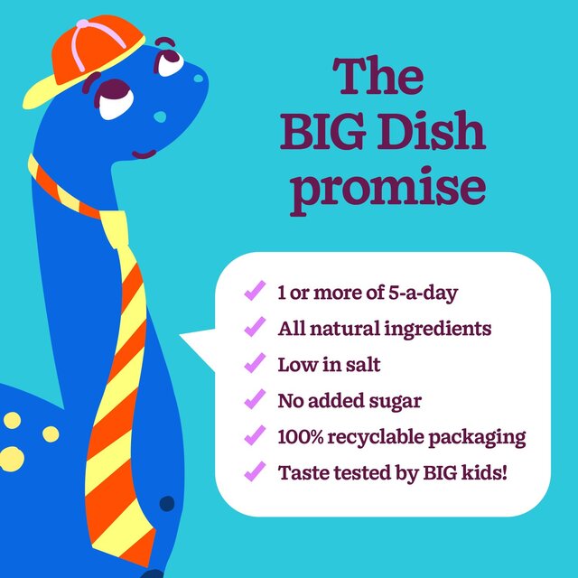 Big Dish Chicken Tikka Masala 300g by Little Dish thumbnail 3