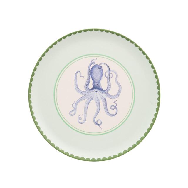 Yvonne Ellen Picnic Dinner Plates thumbnail 5