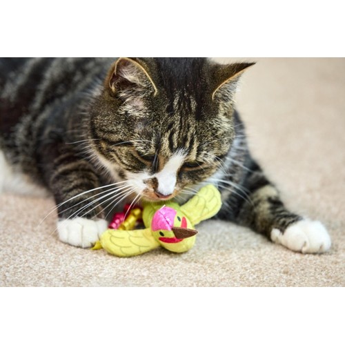 Petface Planet Harper Hummingbird Cat Toy thumbnail 2