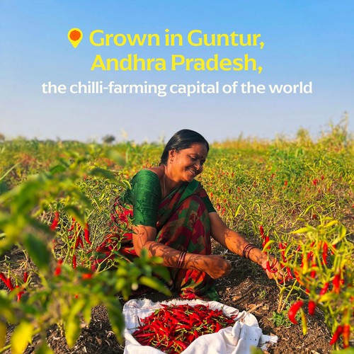 Diaspora Co. Guntur Sannam Chilli thumbnail 4