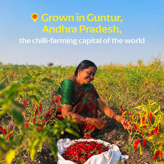 Diaspora Co. Guntur Sannam Chilli thumbnail 4