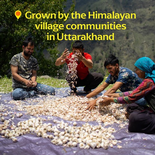 Diaspora Co. Pahadi Pink Garlic thumbnail 4