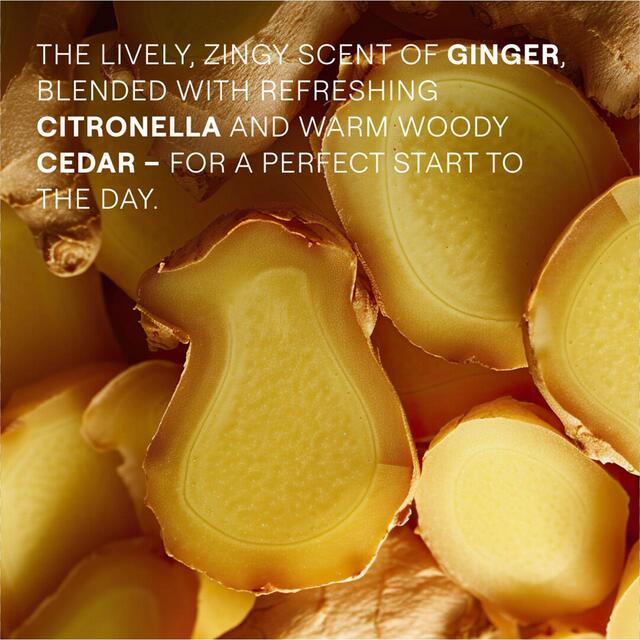 Weleda Ginger Energy Shower Gel Certified Natural thumbnail 4